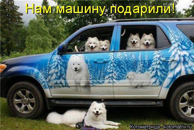 Нам машину подарили!... Котоматрица: Нам машину подарили!
