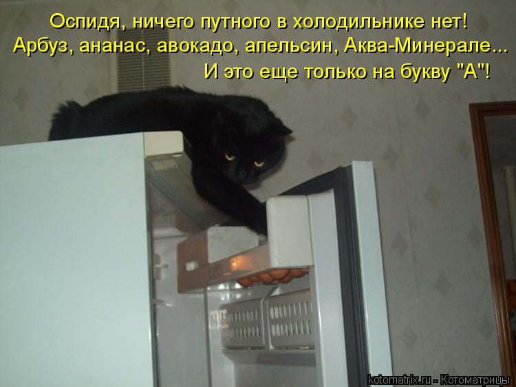 Оспидя, ничего путного в холодильнике нет! Арбуз, ананас, авокадо, апельсин, Аква-Минерале... И это е... Котоматрица: Оспидя, ничего путного в холодильнике нет! Арбуз, ананас, авокадо, апельсин, Аква-Минерале... И это еще только на букву "А"!