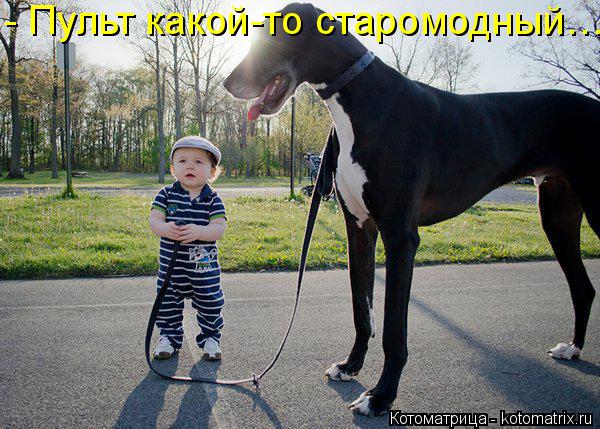 - Пульт какой-то старомодный…... Котоматрица: - Пульт какой-то старомодный…