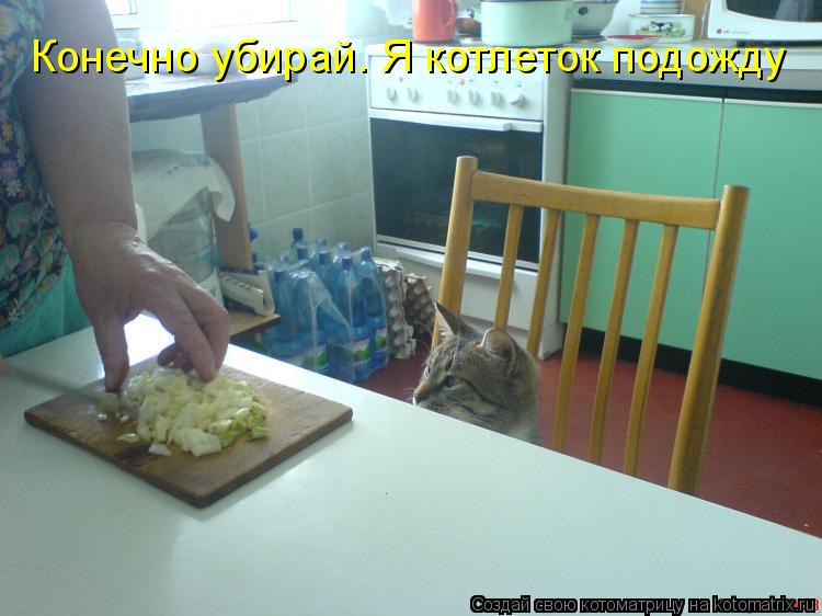 Конечно убирай. Я котлеток подожду... Котоматрица: Конечно убирай. Я котлеток подожду