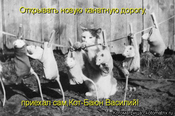 Открывать новую канатную дорогу, приехал сам,Кот-Баюн Василий!... Котоматрица: Открывать новую канатную дорогу, приехал сам,Кот-Баюн Василий!