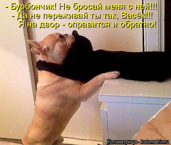 - Бурбончик! Не бросай меня с ней!!! - Да не переживай ты так, Васёк!!! Я на двор - оправится и обрат... Котоматрица: - Бурбончик! Не бросай меня с ней!!! - Да не переживай ты так, Васёк!!! Я на двор - оправится и обратно!