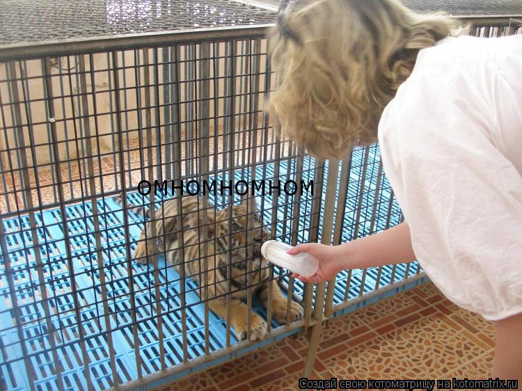 ОМНОМНОМНОМ... Котоматрица: ОМНОМНОМНОМ