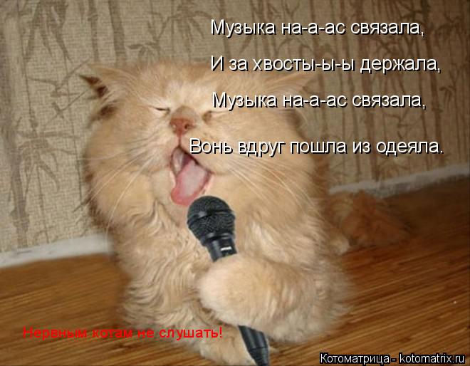 Музыка на-а-ас связала, И за хвосты-ы-ы держала, Музыка на-а-ас связала, Вонь вдруг пошла из одеяла. ... Котоматрица: Музыка на-а-ас связала, И за хвосты-ы-ы держала, Музыка на-а-ас связала, Вонь вдруг пошла из одеяла. Нервным котам не слушать!