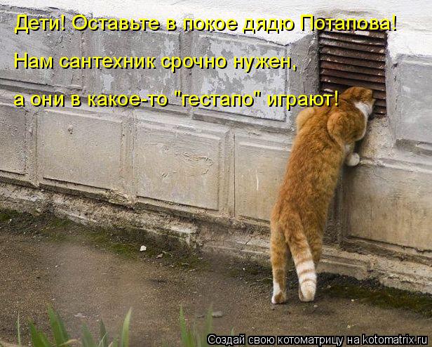 Дети! Оставьте в покое дядю Потапова! Нам сантехник срочно нужен, а они в какое-то "гестапо" играют!... Котоматрица: Дети! Оставьте в покое дядю Потапова! Нам сантехник срочно нужен, а они в какое-то "гестапо" играют!