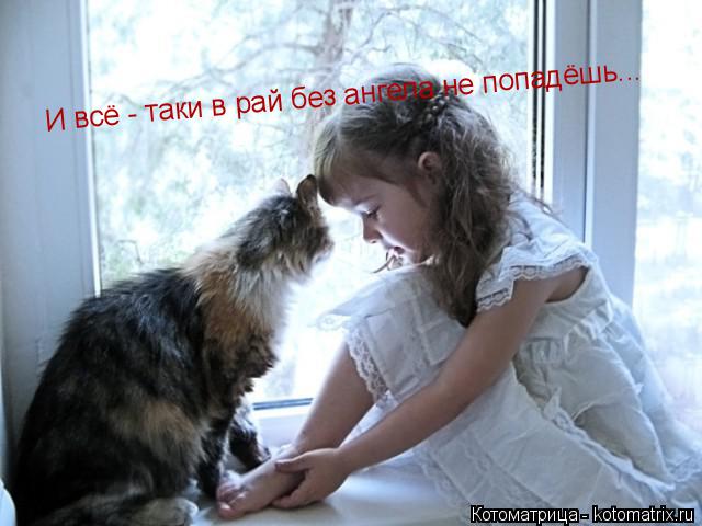 И всё - таки в рай без ангела не попадёшь...... Котоматрица: И всё - таки в рай без ангела не попадёшь...