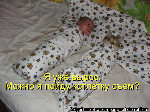 Котоматрица: Я уже вырос. Можно я пойду котлетку съем?