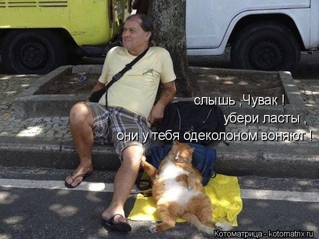 слышь ,Чувак ! убери ласты , они у тебя одеколоном воняют !... Котоматрица: слышь ,Чувак ! убери ласты , они у тебя одеколоном воняют !