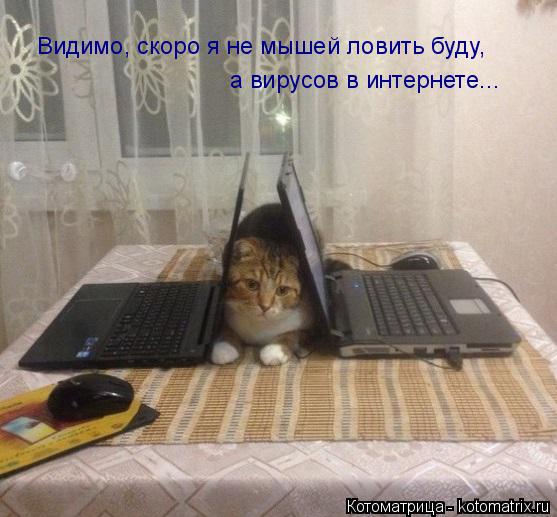 Видимо, скоро я не мышей ловить буду, а вирусов в интернете...... Котоматрица: Видимо, скоро я не мышей ловить буду, а вирусов в интернете...
