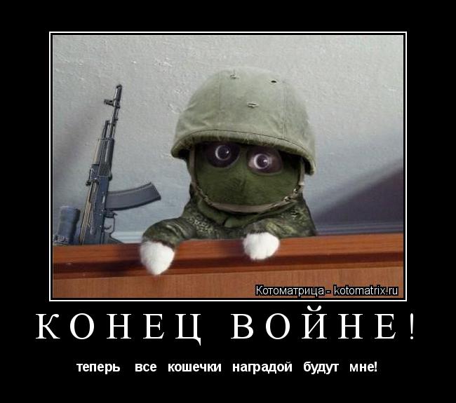 Котоматрица: КОНЕЦ ВОЙНЕ! теперь    все   кошечки   наградой   будут   мне!
