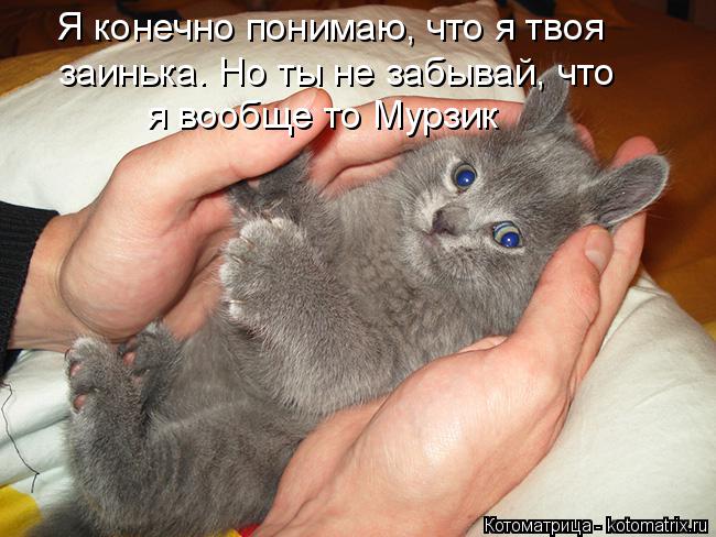 Котоматрица: Я конечно понимаю, что я твоя заинька. Но ты не забывай, что я вообще то Мурзик