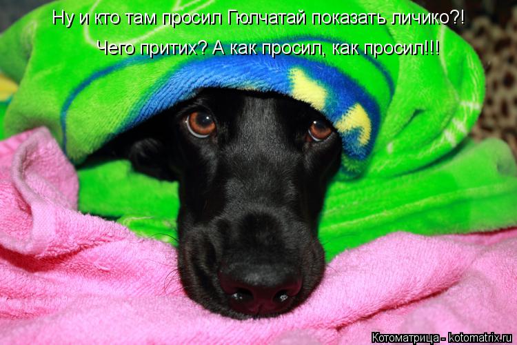 Ну и кто там просил Гюлчатай показать личико?! Чего притих? А как просил, как просил!!!... Котоматрица: Ну и кто там просил Гюлчатай показать личико?! Чего притих? А как просил, как просил!!!