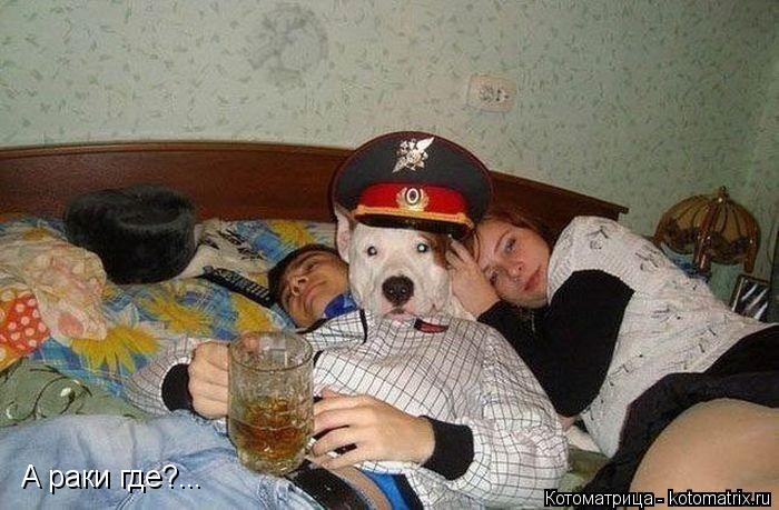 Котоматрица: А раки где?...