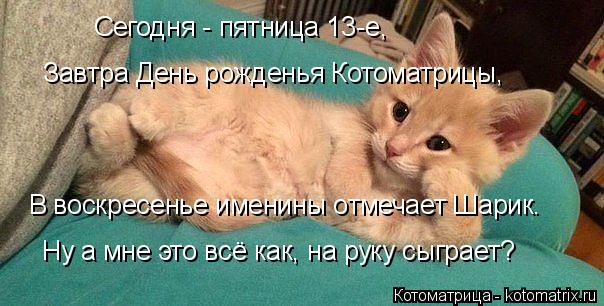 Котоматрица: Сегодня - пятница 13-е, Завтра День рожденья Котоматрицы,  В воскресенье именины отмечает Шарик. Ну а мне это всё как, на руку сыграет?