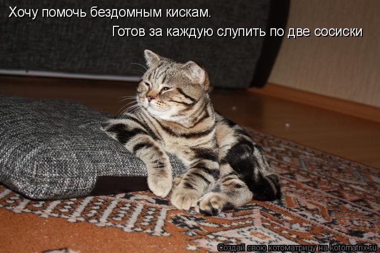 Хочу помочь бездомным кискам. Готов за каждую слупить по две сосиски... Котоматрица: Хочу помочь бездомным кискам. Готов за каждую слупить по две сосиски