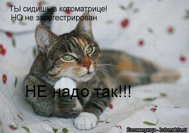 ТЫ сидишь в котоматрице! НО не зарегестрирован НЕ надо так!!!... Котоматрица: ТЫ сидишь в котоматрице! НО не зарегестрирован НЕ надо так!!!