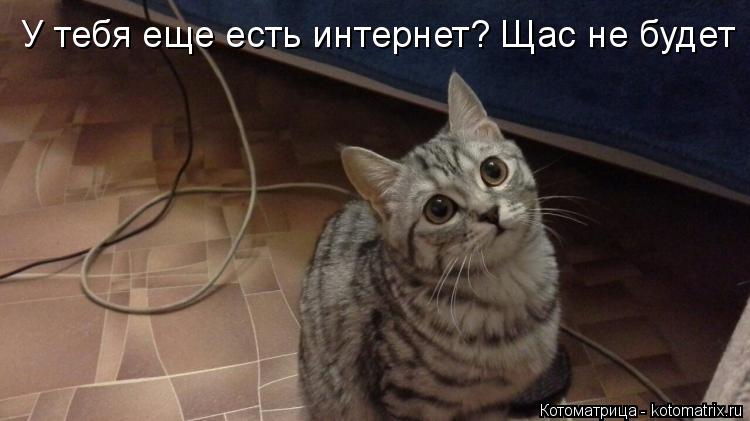 Котоматрица: У тебя еще есть интернет? Щас не будет