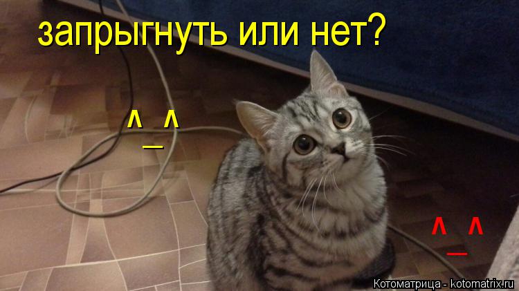 Котоматрица: запрыгнуть или нет? ^_^  ^_^