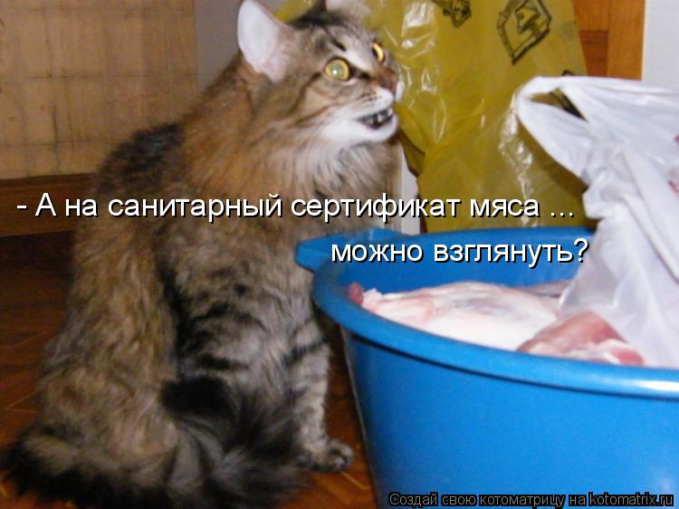 - А на санитарный сертификат мяса ... можно взглянуть?... Котоматрица: - А на санитарный сертификат мяса ... можно взглянуть?