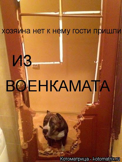 хозяина нет к нему гости пришли ИЗ ВОЕНКАМАТА... Котоматрица: хозяина нет к нему гости пришли ИЗ ВОЕНКАМАТА
