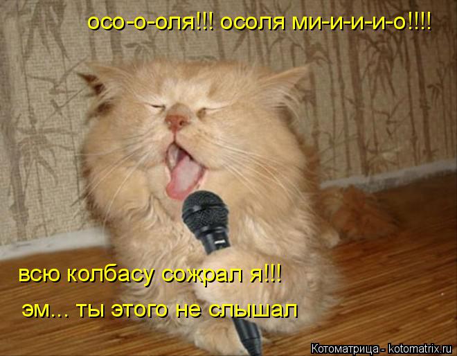 Котоматрица: осо-о-оля!!! осоля ми-и-и-и-о!!!! всю колбасу сожрал я!!! эм... ты этого не слышал