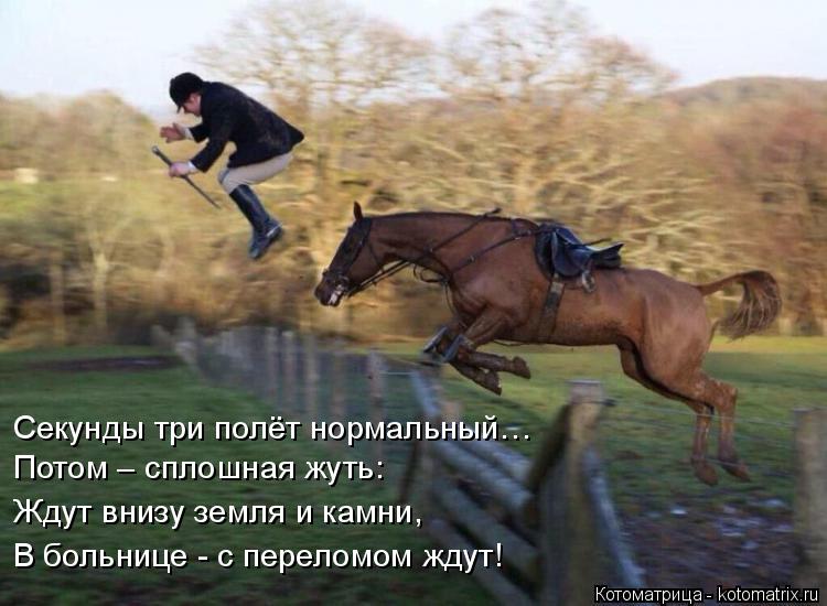 Секунды три полёт нормальный… Потом – сплошная жуть: Ждут внизу земля и камни, В больнице - с перелом... Котоматрица: Секунды три полёт нормальный… Потом – сплошная жуть: Ждут внизу земля и камни, В больнице - с переломом ждут!