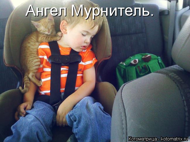 Котоматрица: Ангел Мурнитель.