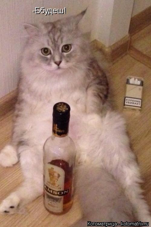 Котоматрица: -Ббудеш!