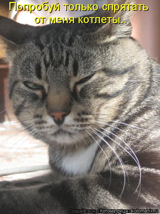 Котоматрица: Попробуй только спрятать от меня котлеты..