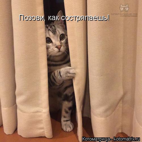 Позови, как состряпаешь!... Котоматрица: Позови, как состряпаешь!
