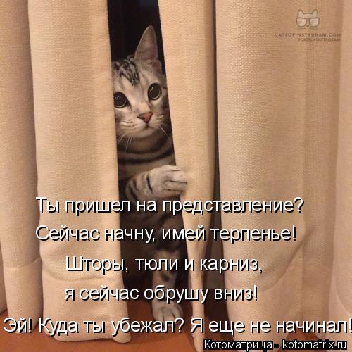 Ты пришел на представление? Сейчас начну, имей терпенье! Шторы, тюли и карниз, я сейчас обрушу вниз!... Котоматрица: Ты пришел на представление? Сейчас начну, имей терпенье! Шторы, тюли и карниз, я сейчас обрушу вниз! Эй! Куда ты убежал? Я еще не начинал!