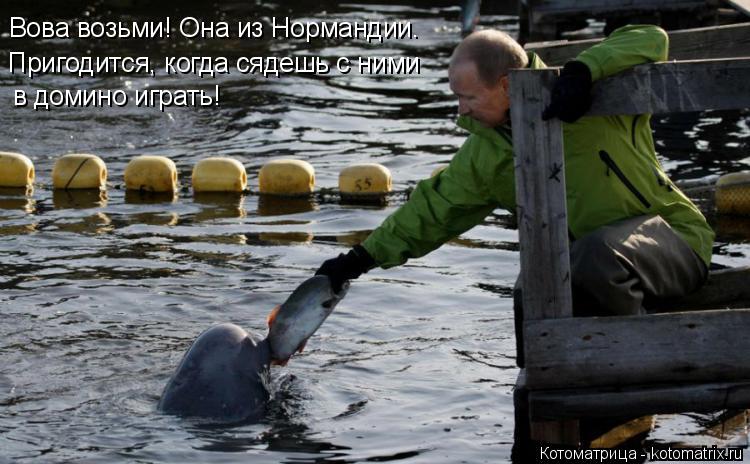 Вова возьми! Она из Нормандии. Пригодится, когда сядешь с ними в домино играть!... Котоматрица: Вова возьми! Она из Нормандии. Пригодится, когда сядешь с ними в домино играть!