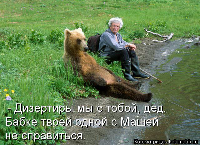 Котоматрица: - Дизертиры мы с тобой, дед. Бабке твоей одной с Машей  не справиться.
