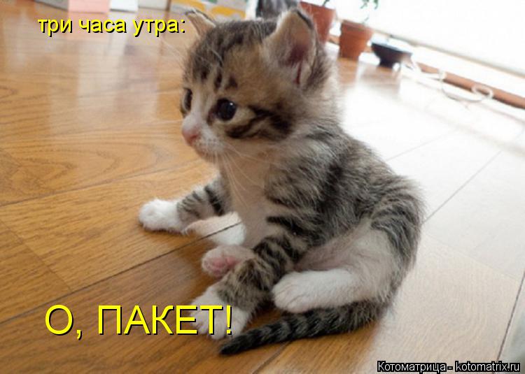 три часа утра: О, ПАКЕТ!... Котоматрица: три часа утра: О, ПАКЕТ!