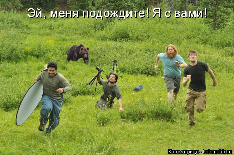 Котоматрица: Эй, меня подождите! Я с вами!
