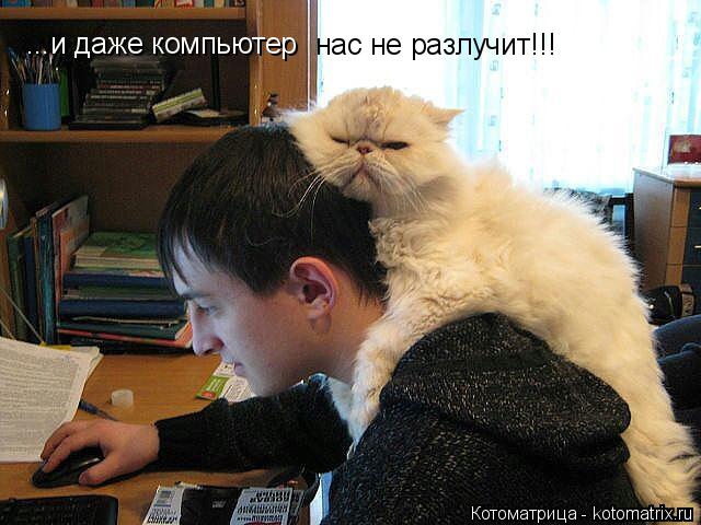 ...и даже компьютер нас не разлучит!!!... Котоматрица: ...и даже компьютер нас не разлучит!!!