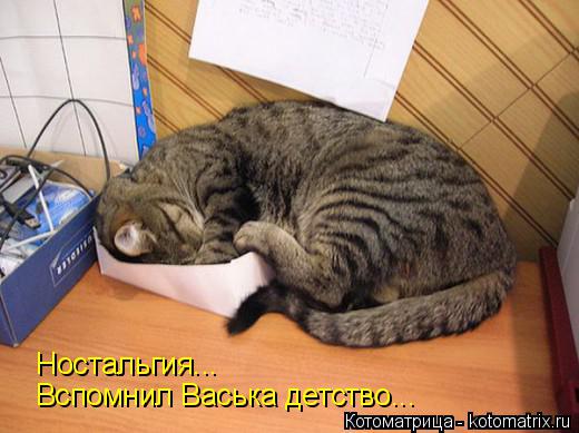 Ностальгия... Вспомнил Васька детство...... Котоматрица: Ностальгия... Вспомнил Васька детство...