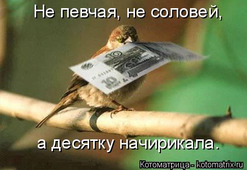 Котоматрица: Не певчая, не соловей, а десятку начирикала.
