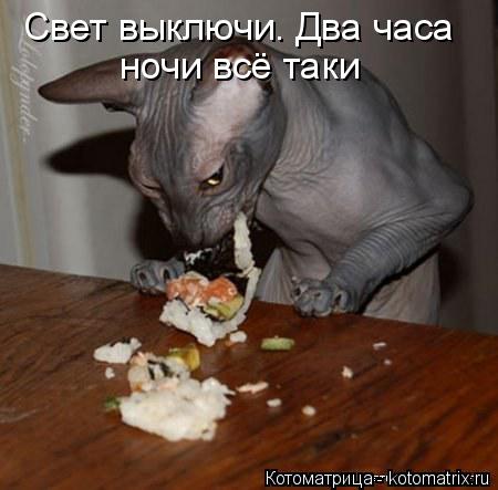 Котоматрица: Свет выключи. Два часа ночи всё таки