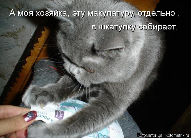 Котоматрица: А моя хозяйка, эту макулатуру, отдельно , в шкатулку собирает.