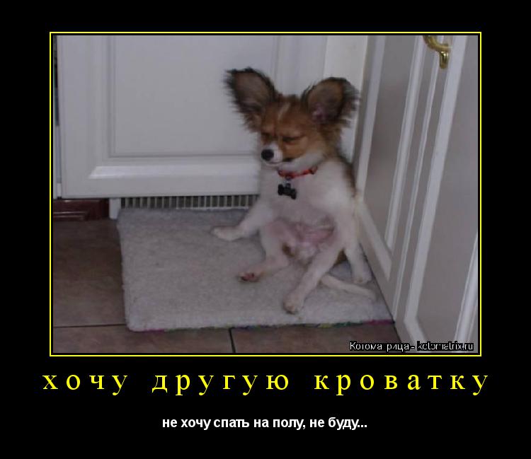 хочу другую кроватку не хочу спать на полу, не буду...... Котоматрица: хочу другую кроватку не хочу спать на полу, не буду...