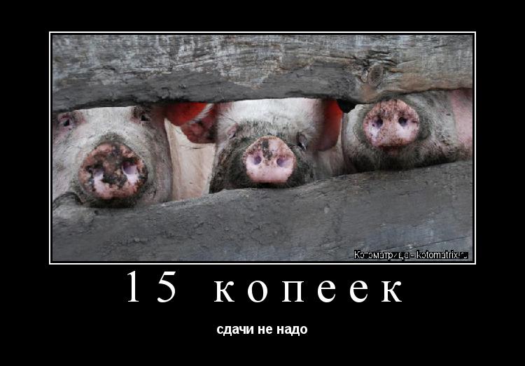 Котоматрица: 15 копеек сдачи не надо