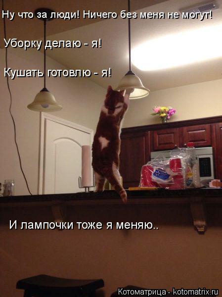 Котоматрица: Ну что за люди! Ничего без меня не могут! Уборку делаю - я! Кушать готовлю - я! И лампочки тоже я меняю..