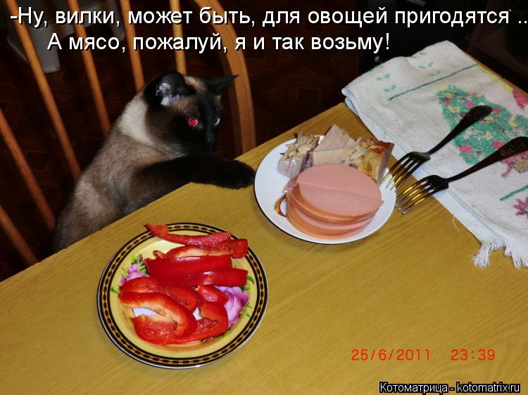 -Ну, вилки, может быть, для овощей пригодятся ... А мясо, пожалуй, я и так возьму!... Котоматрица: -Ну, вилки, может быть, для овощей пригодятся ... А мясо, пожалуй, я и так возьму!