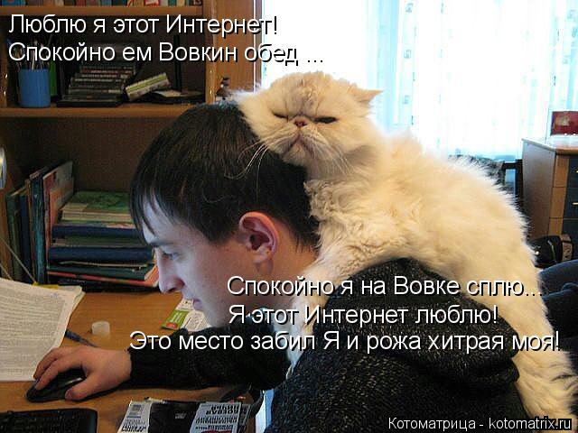 Люблю я этот Интернет! Спокойно ем Вовкин обед ... Спокойно я на Вовке сплю... Я этот Интернет люблю!... Котоматрица: Люблю я этот Интернет! Спокойно ем Вовкин обед ... Спокойно я на Вовке сплю... Я этот Интернет люблю! Это место забил Я и рожа хитрая моя!