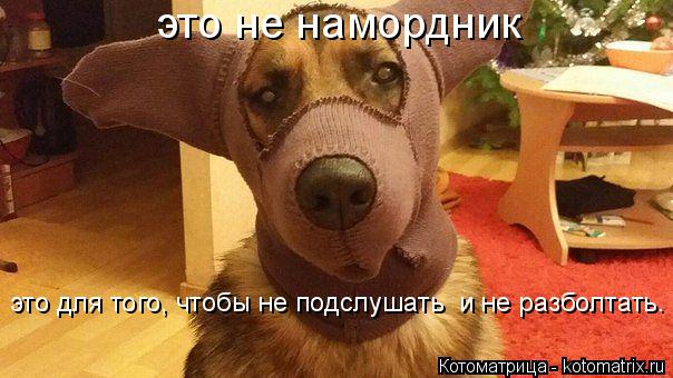 это не намордник это для того, чтобы не подслушать и не разболтать.... Котоматрица: это не намордник это для того, чтобы не подслушать и не разболтать.