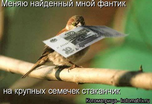 Меняю найденный мной фантик на крупных семечек стаканчик... Котоматрица: Меняю найденный мной фантик на крупных семечек стаканчик