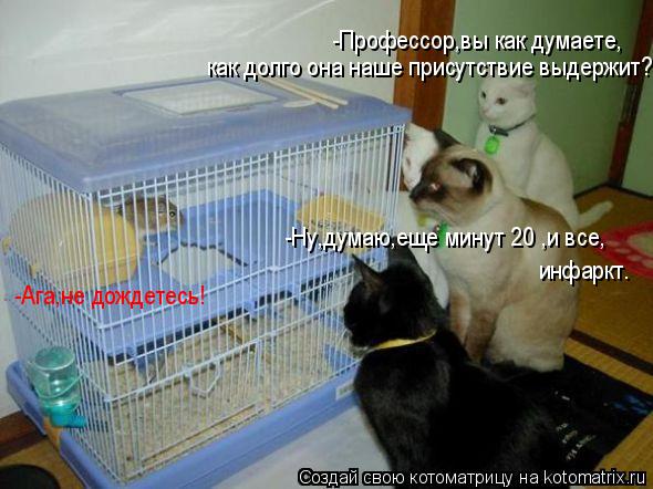 -Профессор,вы как думаете, как долго она наше присутствие выдержит? -Ну,думаю,еще минут 20 ,и все, ин... Котоматрица: -Профессор,вы как думаете, как долго она наше присутствие выдержит? -Ну,думаю,еще минут 20 ,и все, инфаркт. -Ага,не дождетесь!