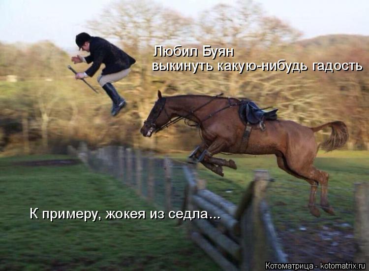 Котоматрица: К примеру, жокея из седла... выкинуть какую-нибудь гадость Любил Буян