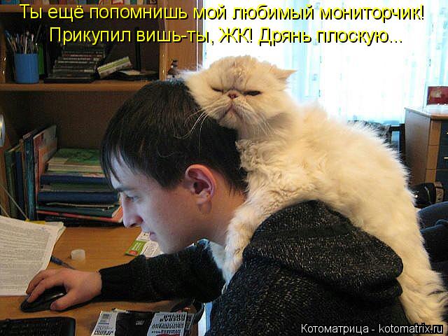 Ты ещё попомнишь мой любимый мониторчик! Прикупил вишь-ты, ЖК! Дрянь плоскую...... Котоматрица: Ты ещё попомнишь мой любимый мониторчик! Прикупил вишь-ты, ЖК! Дрянь плоскую...